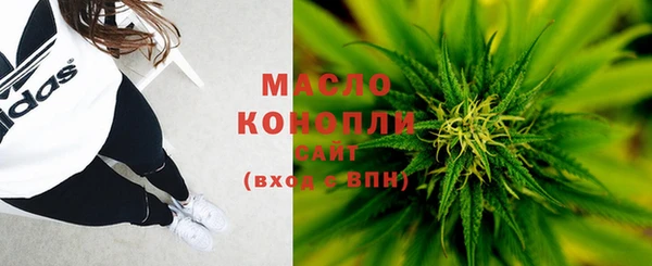 молекула духа Покров