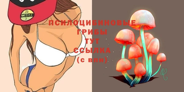 MDMA Premium VHQ Елабуга