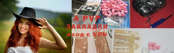 прущие крисы Бежецк