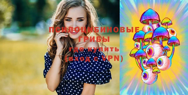 гидропоника Белая Холуница