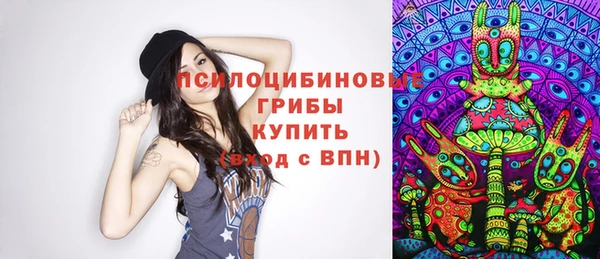прущие крисы Бежецк